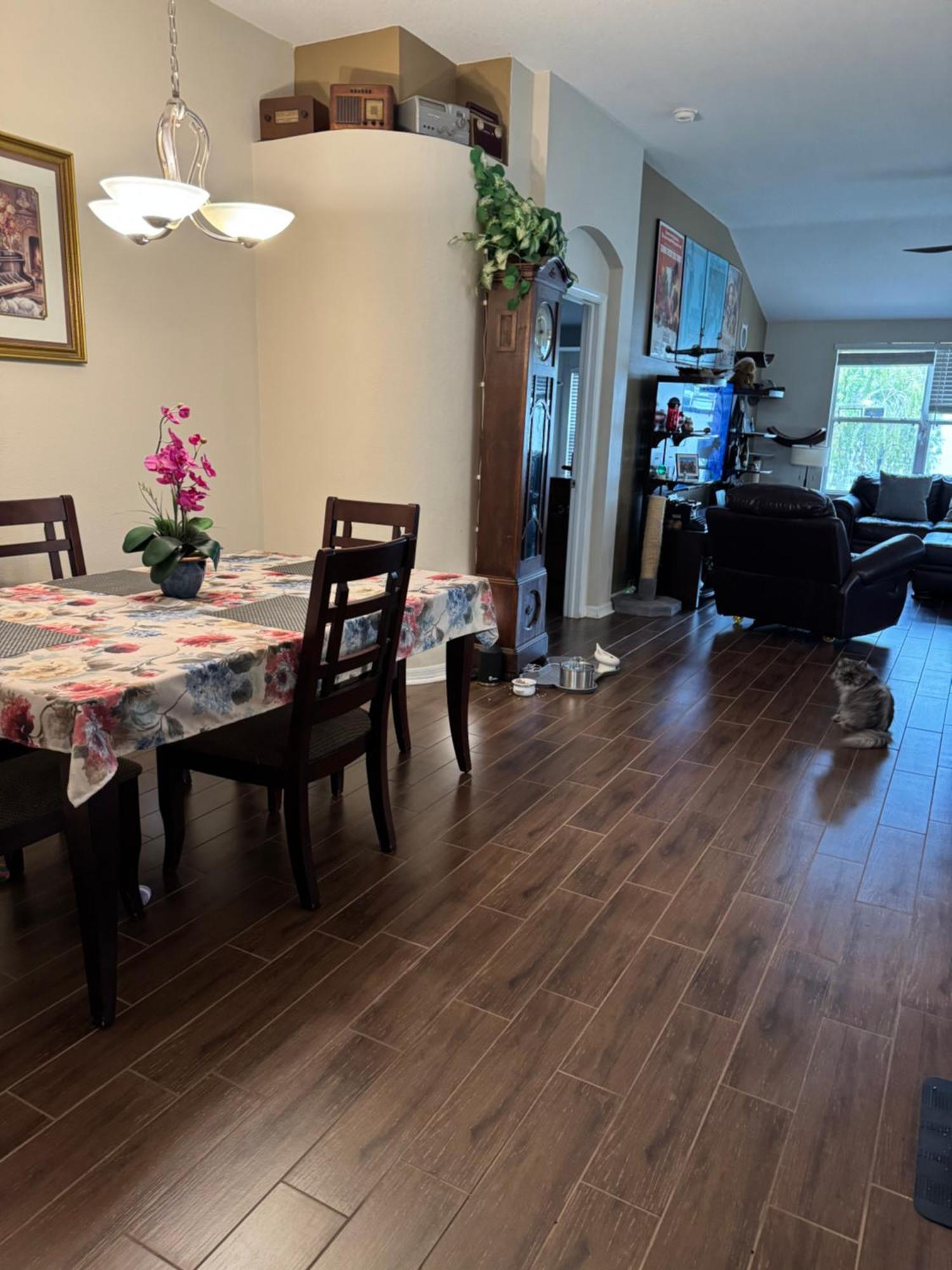Ruskin Fl Private 2 Bdrm 1 Bath Suite Common Areas Shared With Host And Cat Ngoại thất bức ảnh
